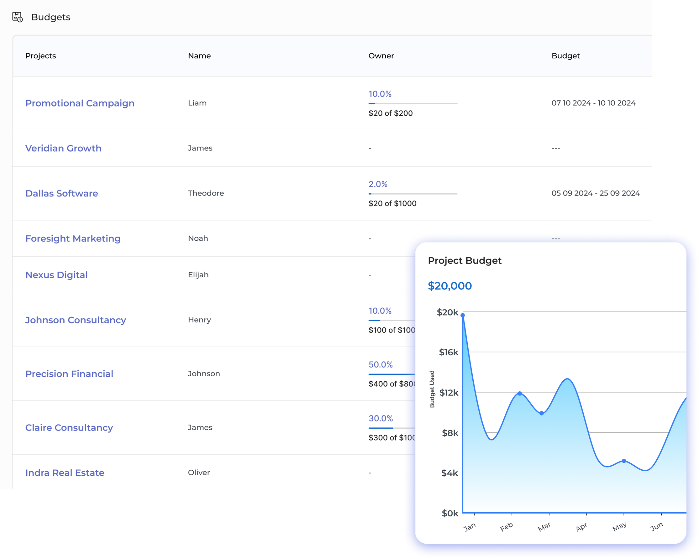 Project Budgeting Software