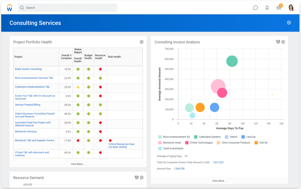 Workday Professional Services Business Consulting Software