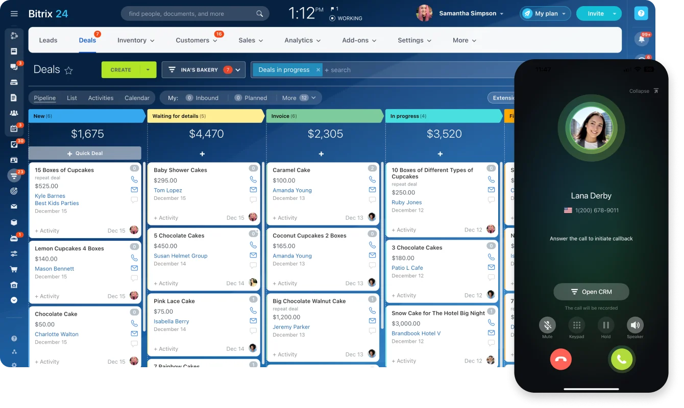 Bitrix24 Business Consulting Software