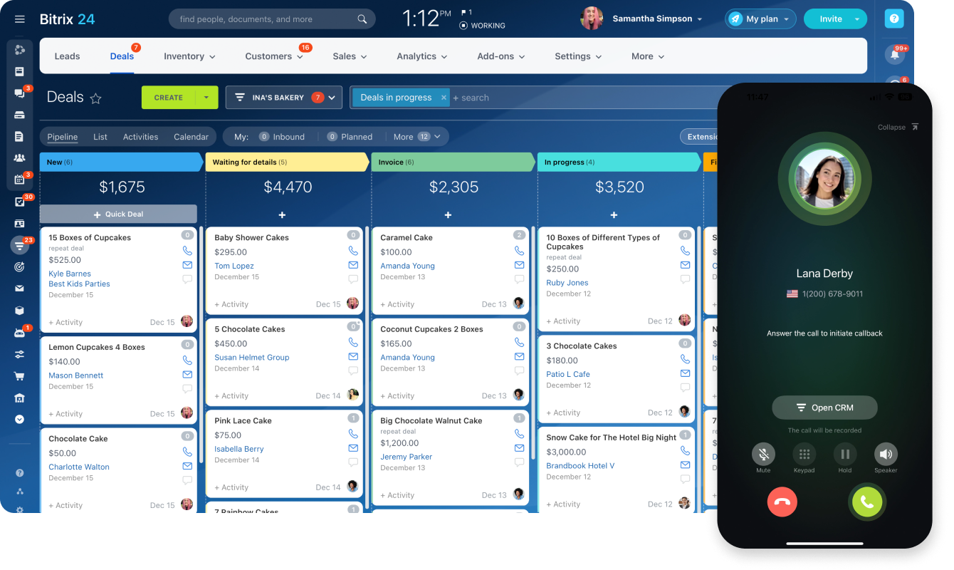 Bitrix24 CRM for Consultants