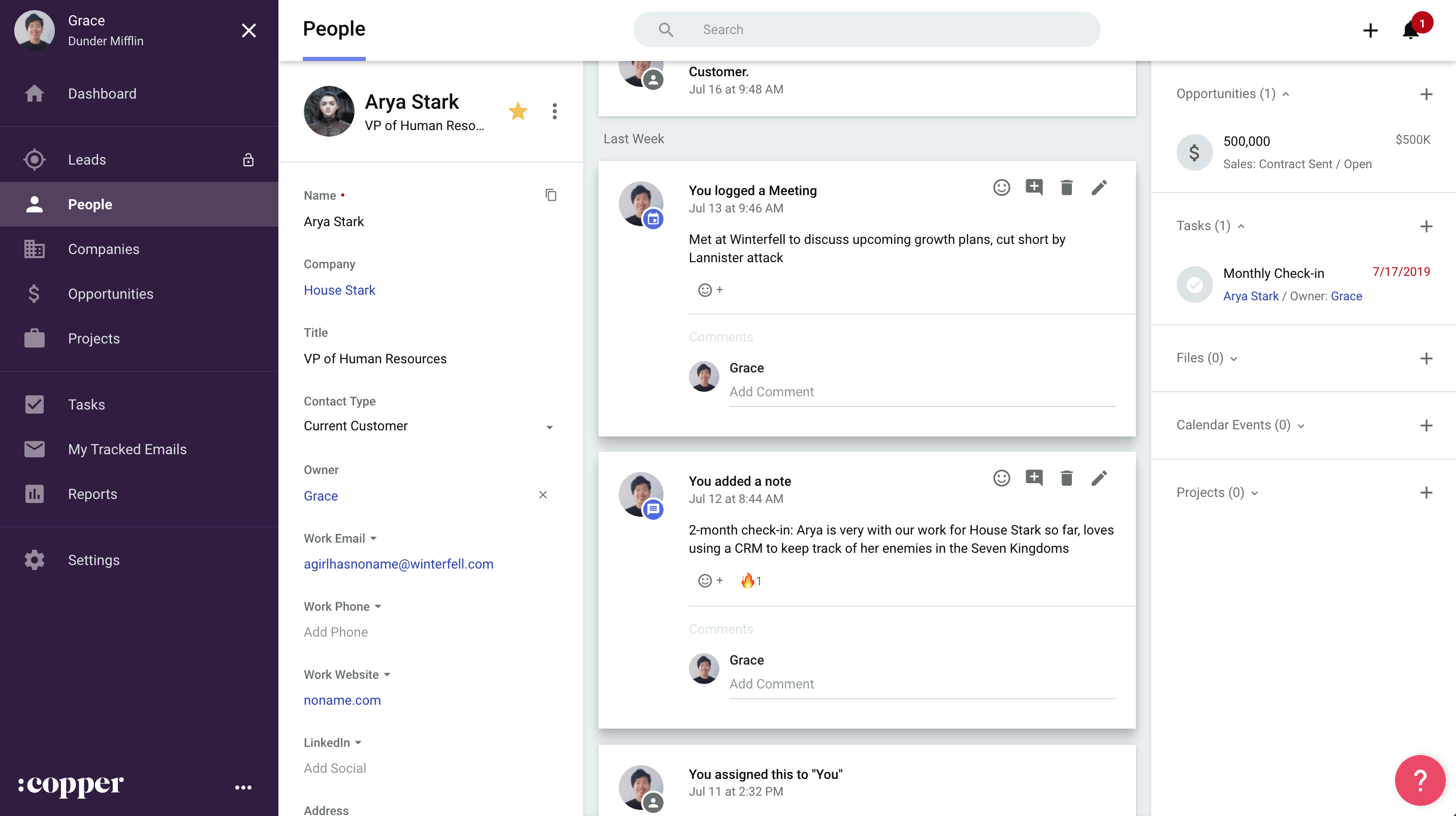 Copper CRM for Consultants