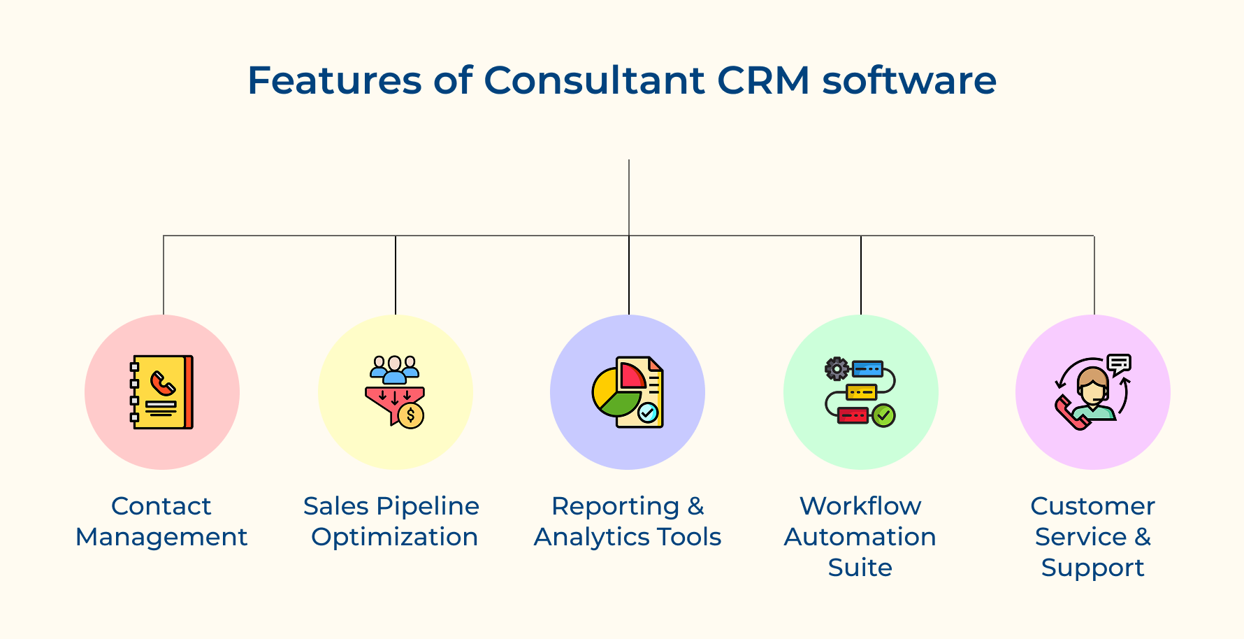 Features of Consultant CRM software
