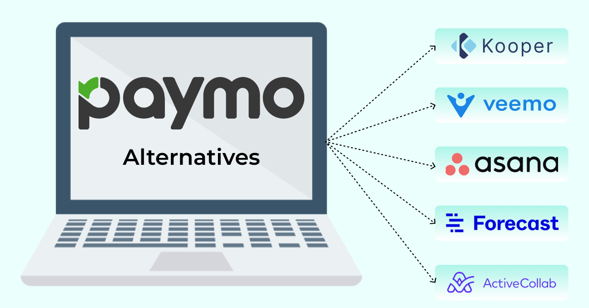 Paymo Alternatives