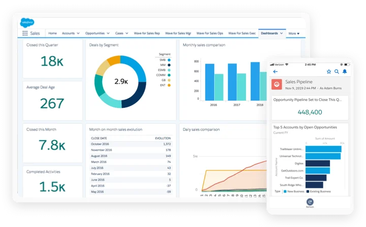 Salesforce CRM for Consultants