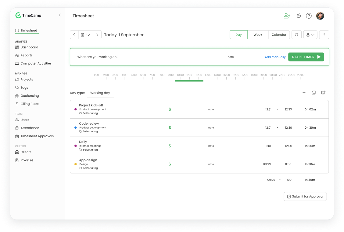 TimeCamp Time Tracking Software for Consultants