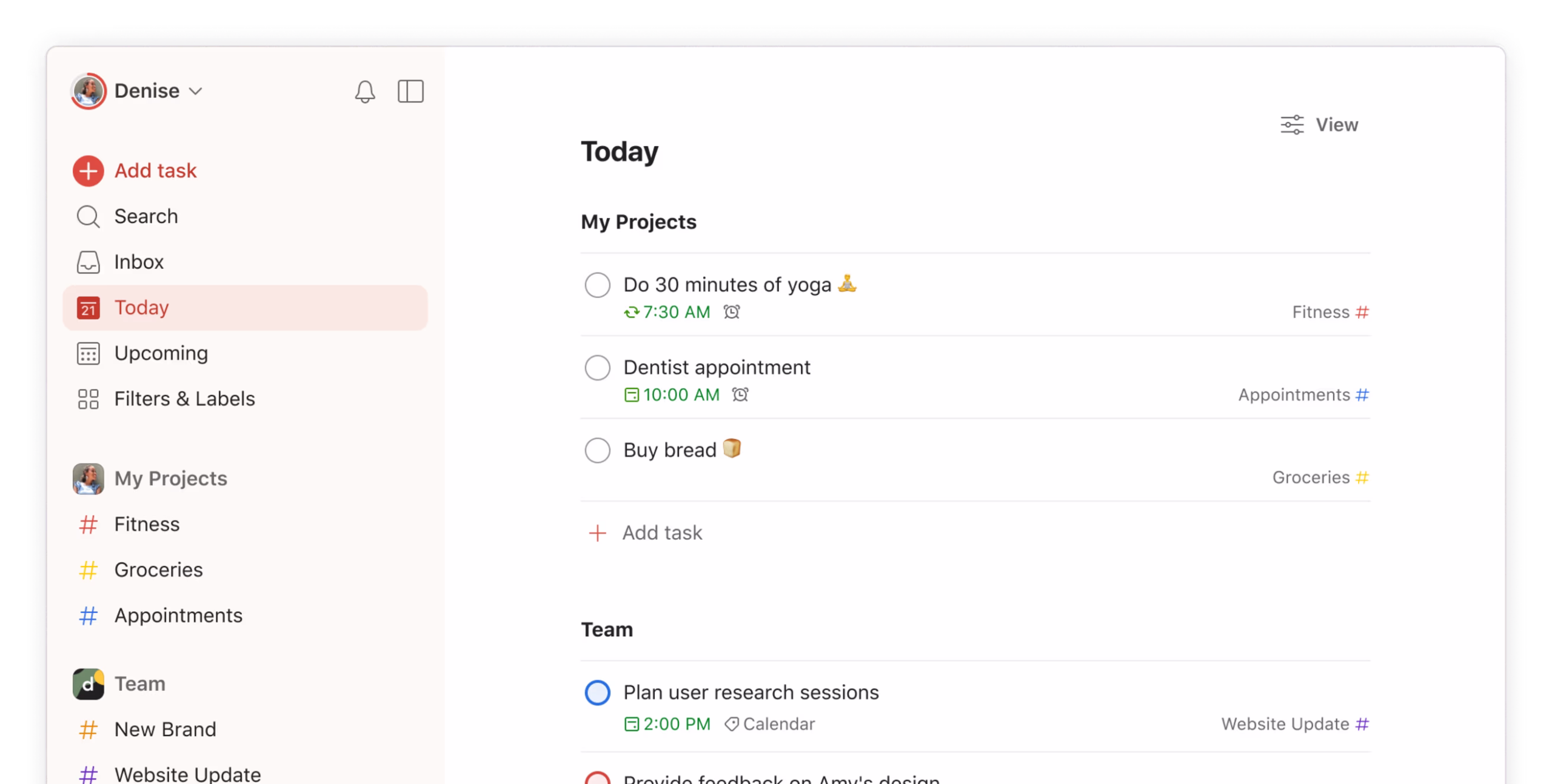 Todoist Project Management Software for Individuals