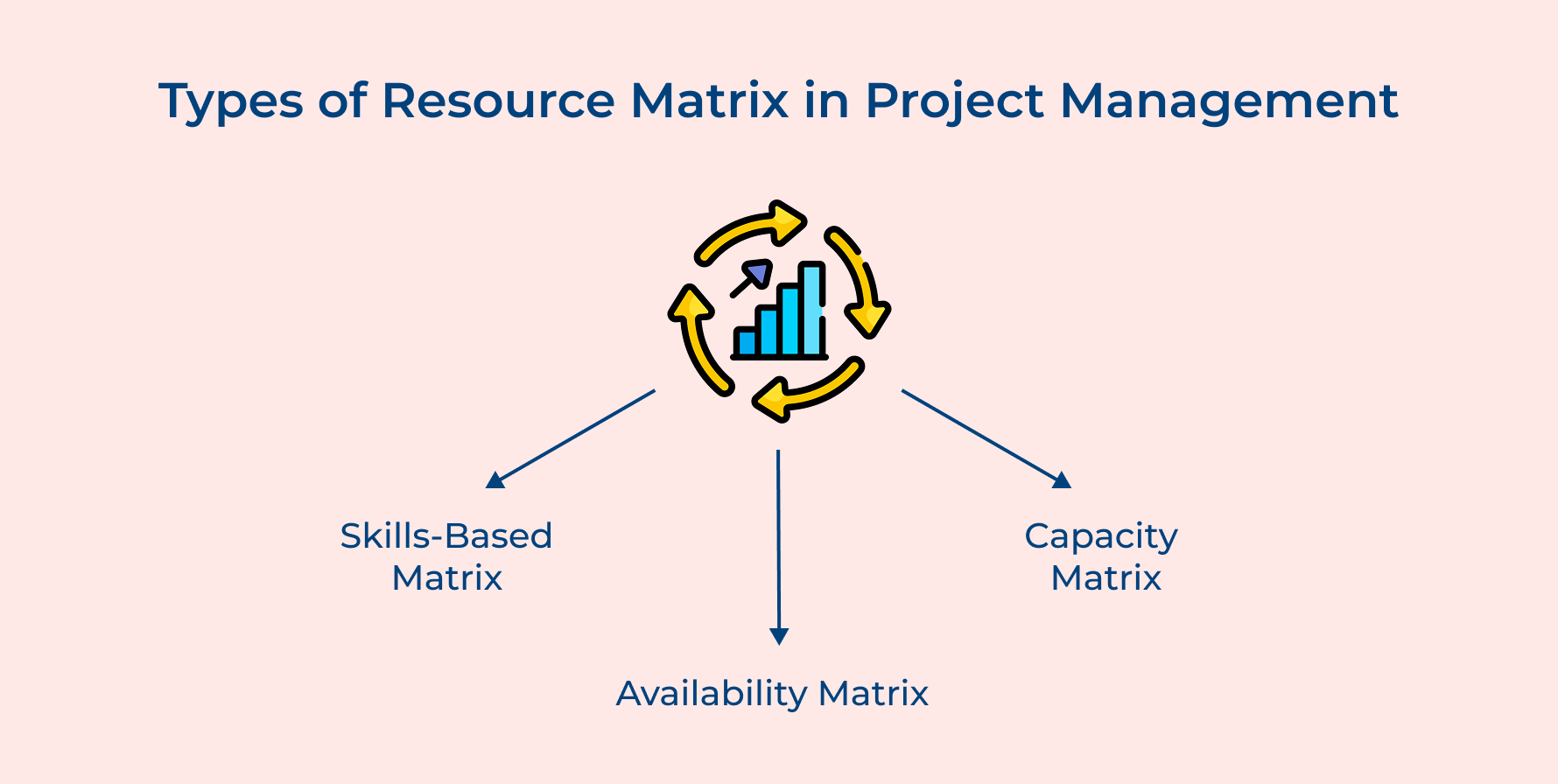 Types of Resource Matrix in Project Management