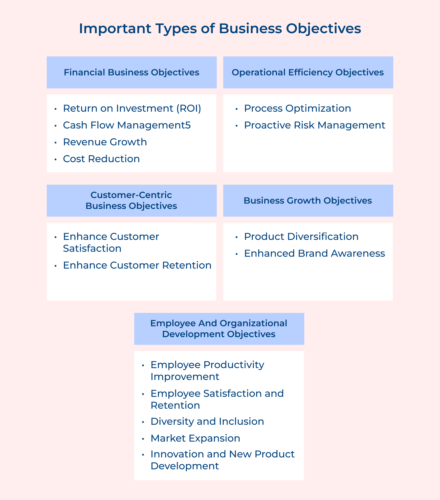 Important Types of Business Objectives